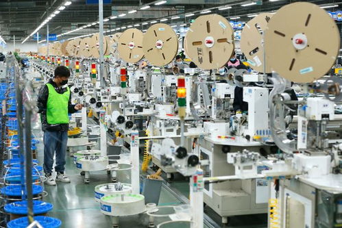 組圖 山東出口企業(yè)開工忙,力爭新年 開門紅