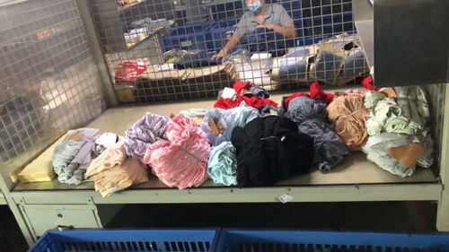 走訪中山市寶路易服飾 品質(zhì)與創(chuàng)新的時尚領航者