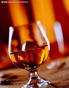 紅酒報關代理 紅酒報檢代理 紅酒標簽備案代理,紅酒報關代理 紅酒報檢代理 紅酒標簽備案代理生產廠家,紅酒報關代理 紅酒報檢代理 紅酒標簽備案代理價格